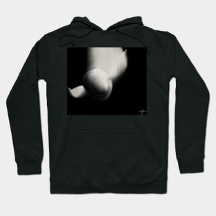 Into the Deep - Beluga Hoodie